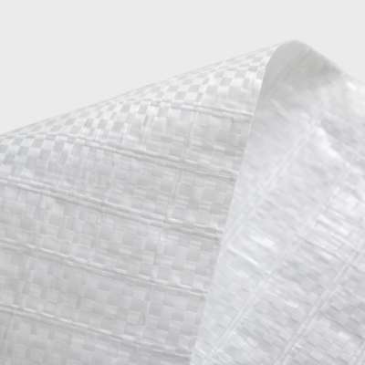 Plain white PP woven sandbag