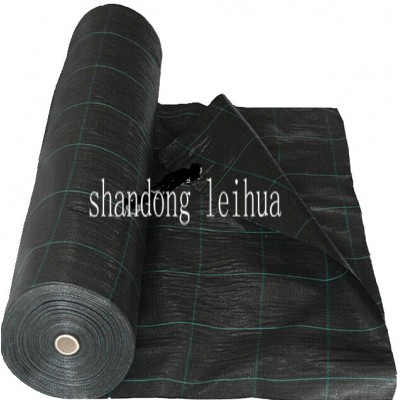 CBR puncture resistance durable feature ground cover black woven pp geotextiles fabric in roll