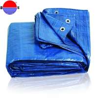 china medium duty camping poly pe tarpaulin for temporary shelter factory